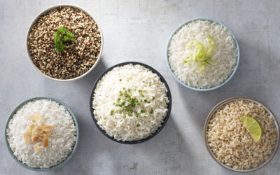 Getting to Know the Types of Rice Grains